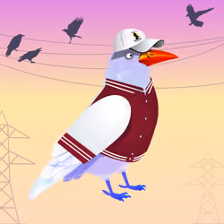 Crazy Crow #5817