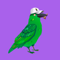 Crazy Crow #5013