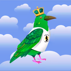 Crazy Crow #1300