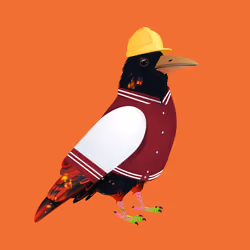 Crazy Crow #5729