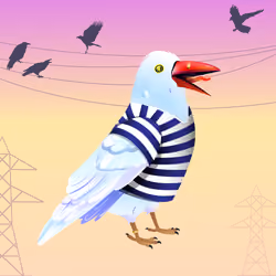Crazy Crow #6758