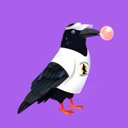 Crazy Crow #3373