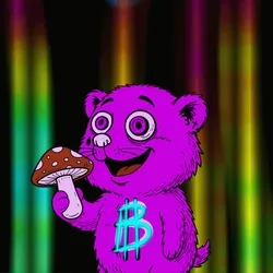 Meatball on Shrooms