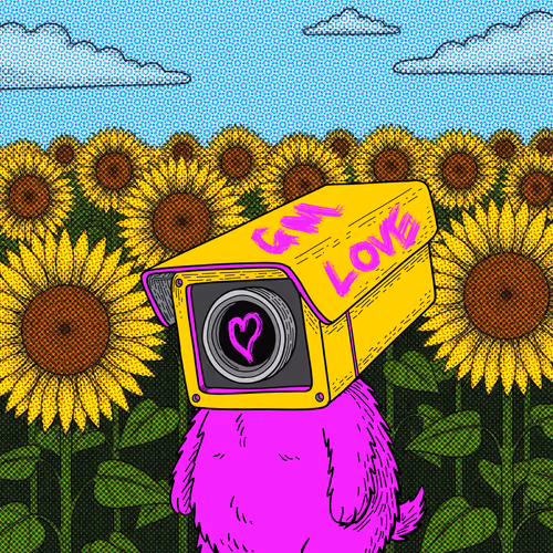 Sunflower Security Camera Meatball