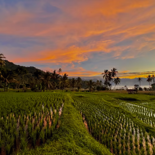 Tropical sunset