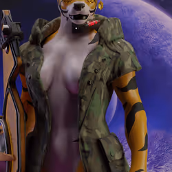TheTigersGuild