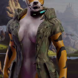 TheTigersGuild