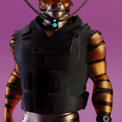 TheTigersGuild