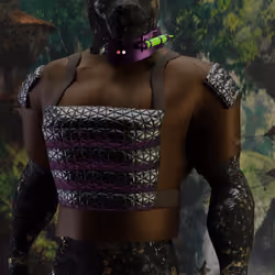TheTigersGuild