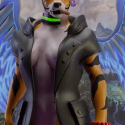 TheTigersGuild