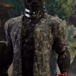 TheTigersGuild