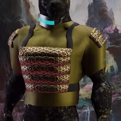 TheTigersGuild