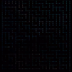 64