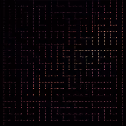 81
