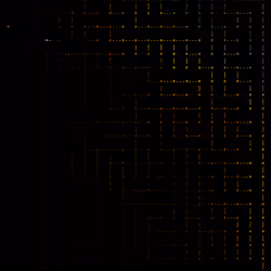 242