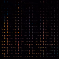 61