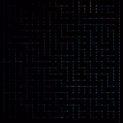 243