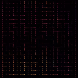 66