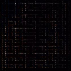 241