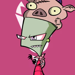 Human Zim #537