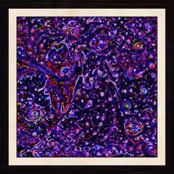 Ciphersquares #2556