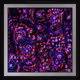 Ciphersquares #742