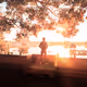 Depths of life