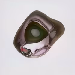 Item Media