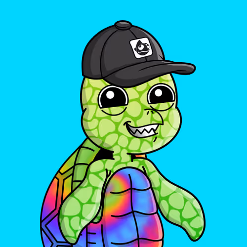 Chillin Sea Turtles