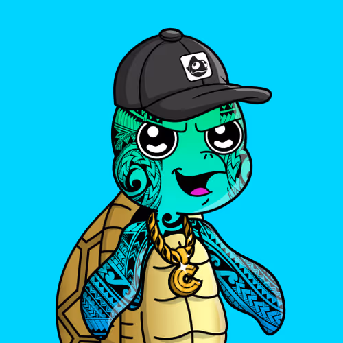 Chillin Sea Turtles