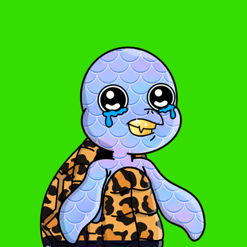 Chillin Sea Turtles