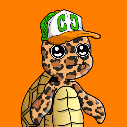 Chillin Sea Turtles