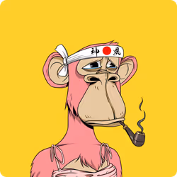 11628