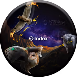 Index Coop Turns One (2/2)