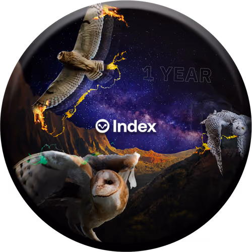 Index Coop Turns One (2/2)