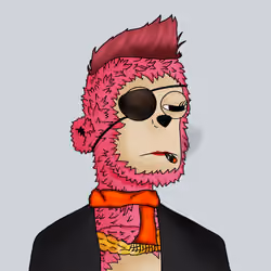 Lady Ape Punks #1365