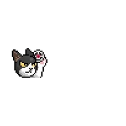 #258