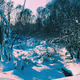 Winter is here V2