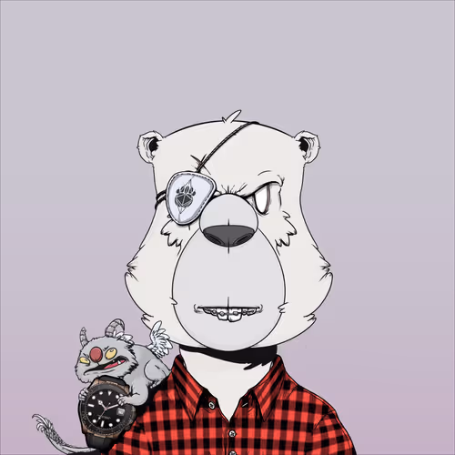 Thecryptobearwatchclub