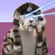 433