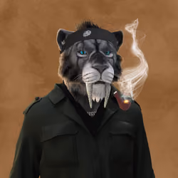 SPC #89
