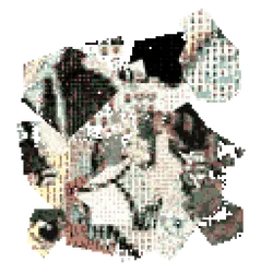 261