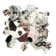 85