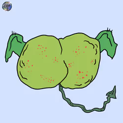 2818