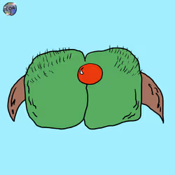 6048