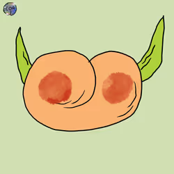521