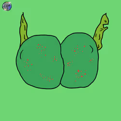 8436