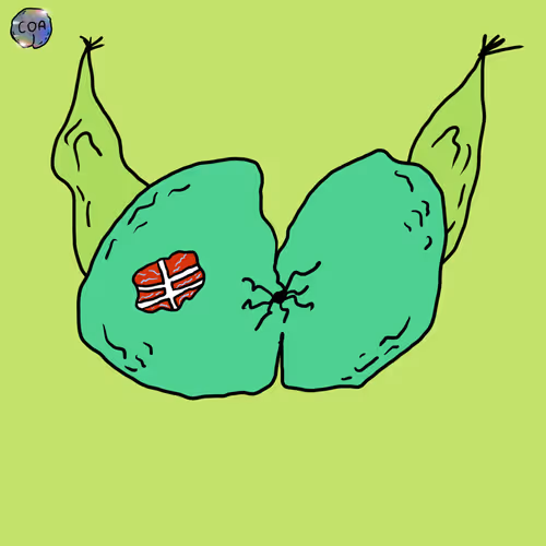 Goblinasstown