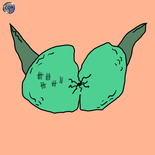 Goblinasstown