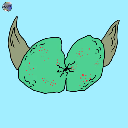 Item #4376 Media